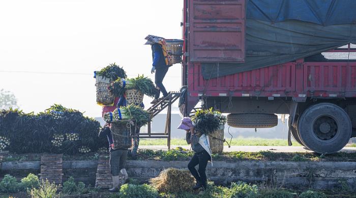 为什么说“新手”适合做法国Fnac&Darty平台？？？