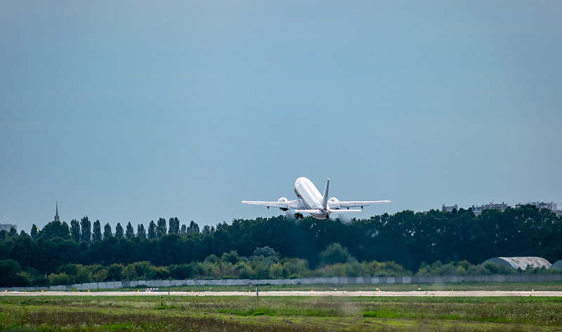 仿真绢花采取江门环球货运快速送达摩纳哥 仿真绢花采取江门环球货运快速送达摩纳哥