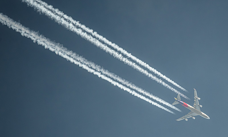 小熊煮蛋器应用深圳跨国货运及时送达加拿大 小熊煮蛋器应用深圳跨国货运及时送达加拿大