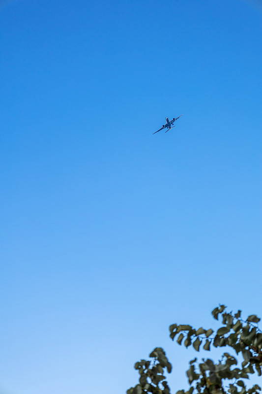 朱雀二胡松香运用佛山环球货运发往卢森堡