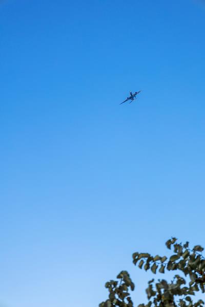 朱雀二胡松香运用佛山环球货运发往卢森堡