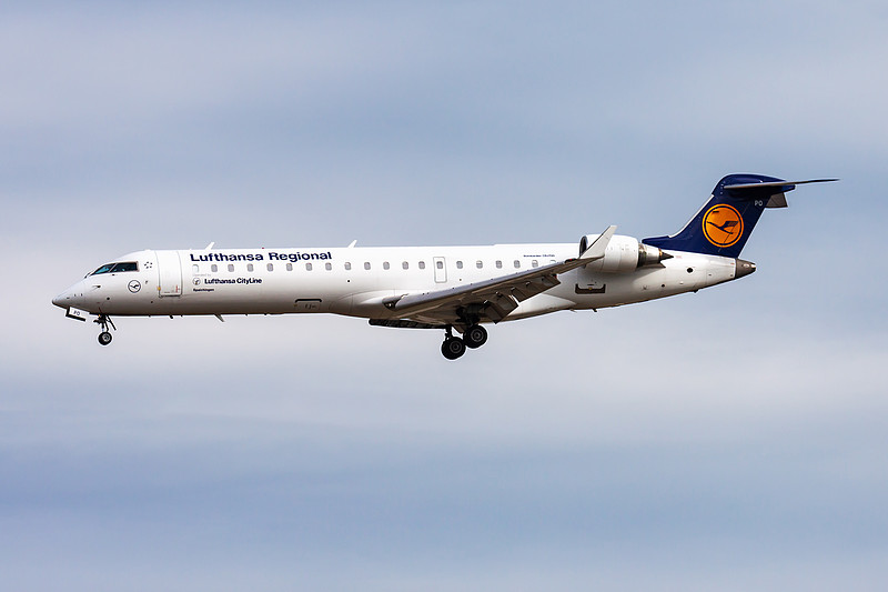 羽毛借助辽宁大连国际运输托运至越南胡志明市 羽毛借助辽宁大连国际运输托运至越南胡志明市