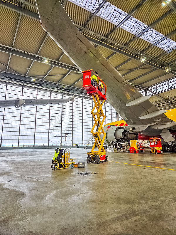 大蒜、生姜采用广东广州国际运输发往印尼