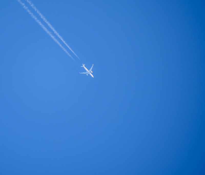 牡丹种子利用肇庆国际物流送抵法罗群岛