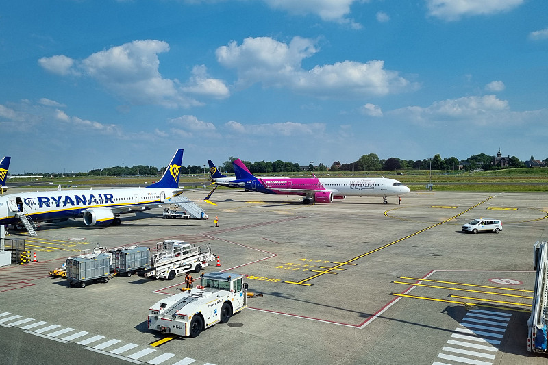 水产品采纳中国上海外贸物流派送至新加坡