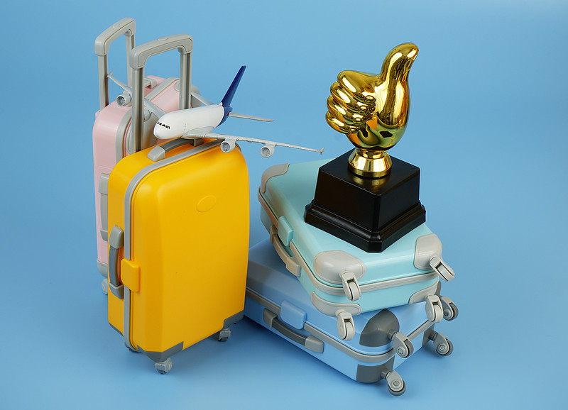 猫抓板使用广州外贸物流高效送达荷兰