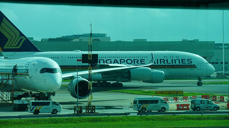 蒸汽眼罩应用江门全球物流运输到斯洛文尼亚 蒸汽眼罩应用江门全球物流运输到斯洛文尼亚