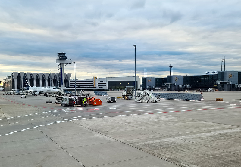 果冻广州国际货运运到新加坡