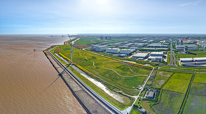 毛巾选用广东深圳全球物流送达阿联酋迪拜 毛巾选用广东深圳全球物流送达阿联酋迪拜