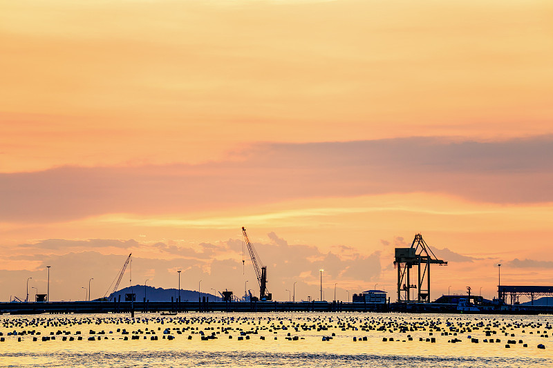 棉织品采纳中国上海国际物流安全送达印度孟买