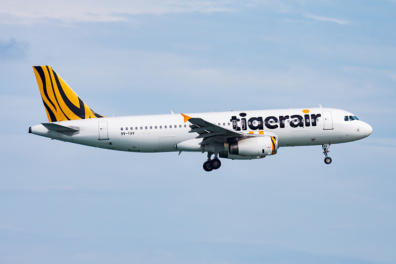 重黄娑罗双木使用甘肃兰州国际运输快递至爱尔兰 重黄娑罗双木使用甘肃兰州国际运输快递至爱尔兰