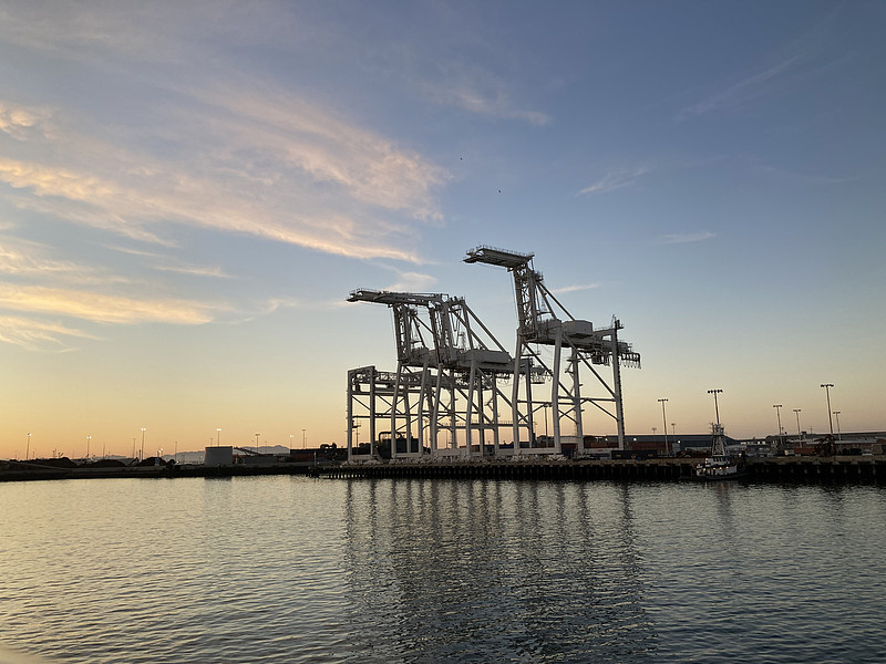 玉米片通过广东深圳全球物流运输到阿联酋迪拜