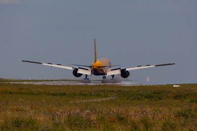 粘毛滚筒应用东莞国际货运送到立陶宛