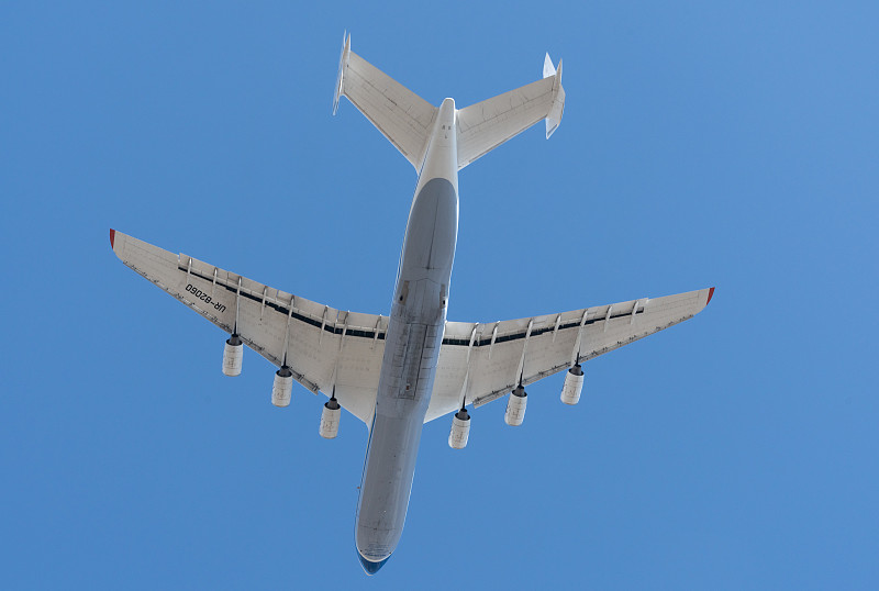 水产品采纳广东广州跨国货运承运至巴西圣保罗