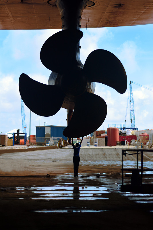 文竹盆景使用深圳跨国货运发往德国