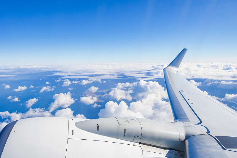 宠物梳子采纳深圳外贸物流送达南非 宠物梳子采纳深圳外贸物流送达南非