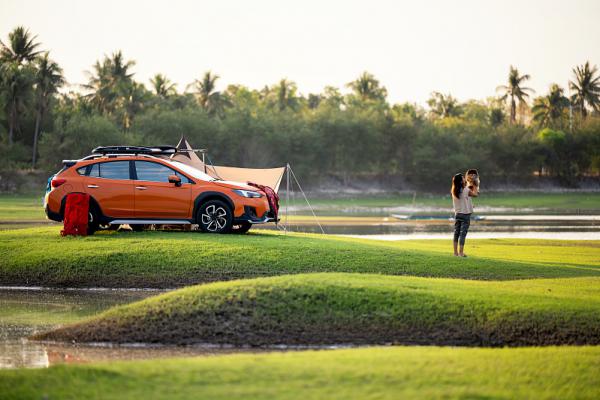 北京政策当前对京牌租用平台是一个什么样的态度