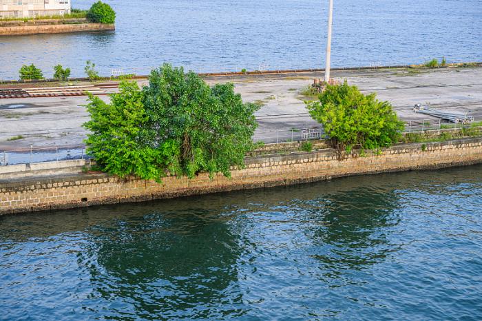 佛山市笨鸟物流有限公司有关资料